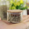 Small Tiny Glass Spicy Jar Heat Resistant Clear Glass Food Spice Tea Candy Storage Jar with Bamboo Lid Sealing Air Tight 1 PC 6