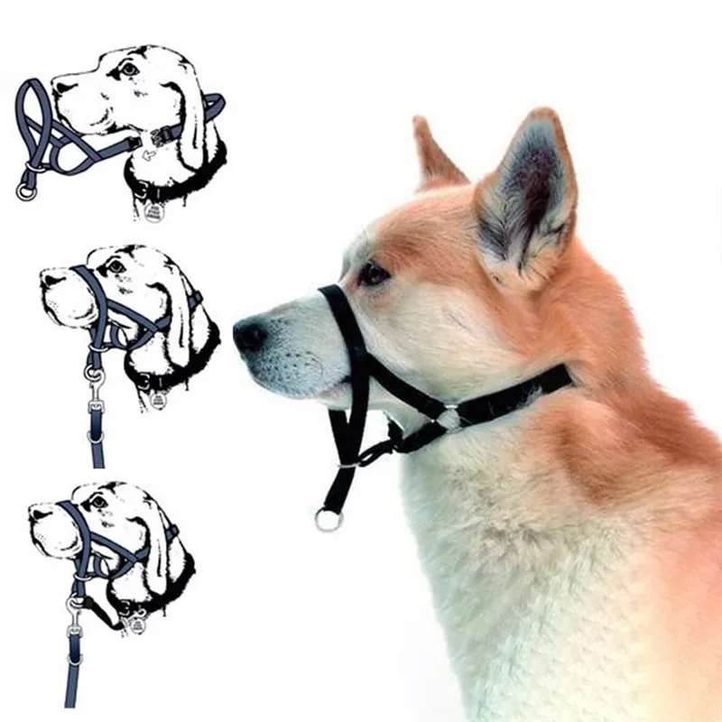 Dog Training Muzzle Muzzle, Dog Mouth and Nose Ring Training, Anti-impact Pull, Leash, Walking Pet Supplies