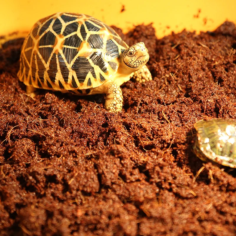 Reptile Bedding Material Coconut Soil 600g Natural Coconut Fiber for Reptiles