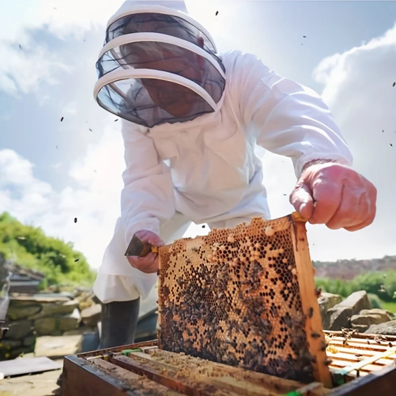 Professional Beekeeping Suit Full-Body Protective Gear with Veil Hood Breathable & Durable Fabric Ideal for Urban Ag