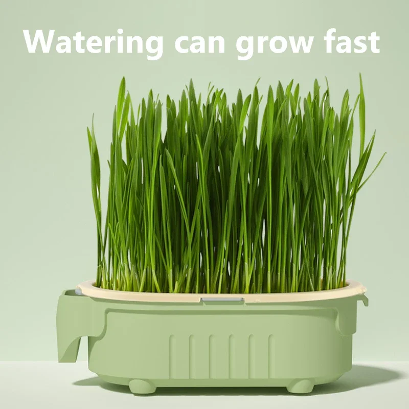 not include seed
