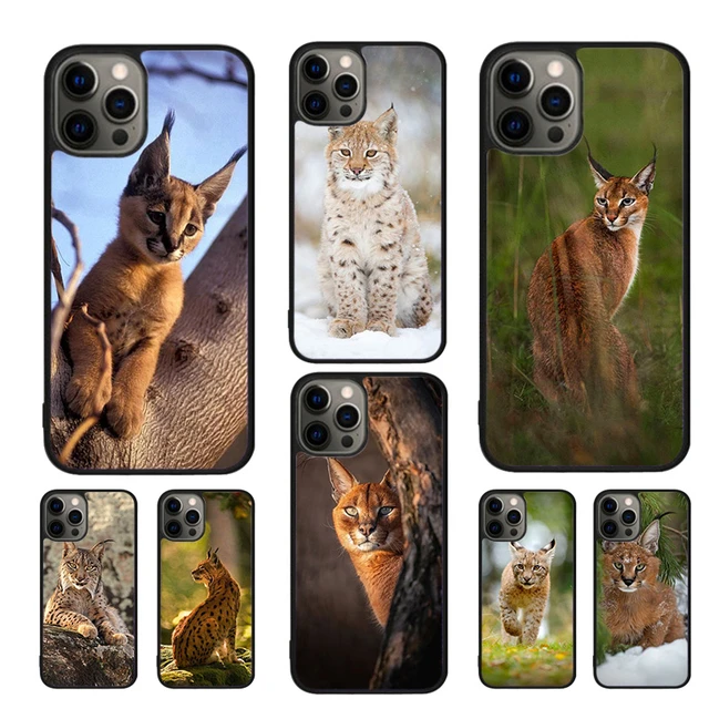 iPhone 12 Pro Max Big Floppa Meme Cat Case