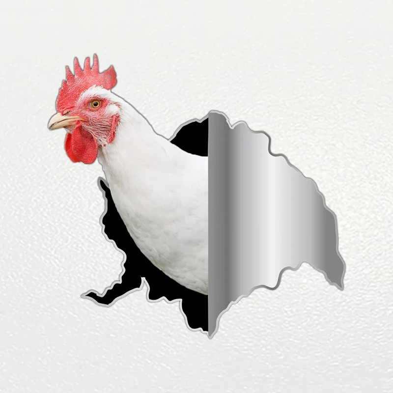 

V1067# Car Sticker Farm Chicken Animal Waterproof Vinyl Decal Car Accessories Decor Pegatinas Para Coche