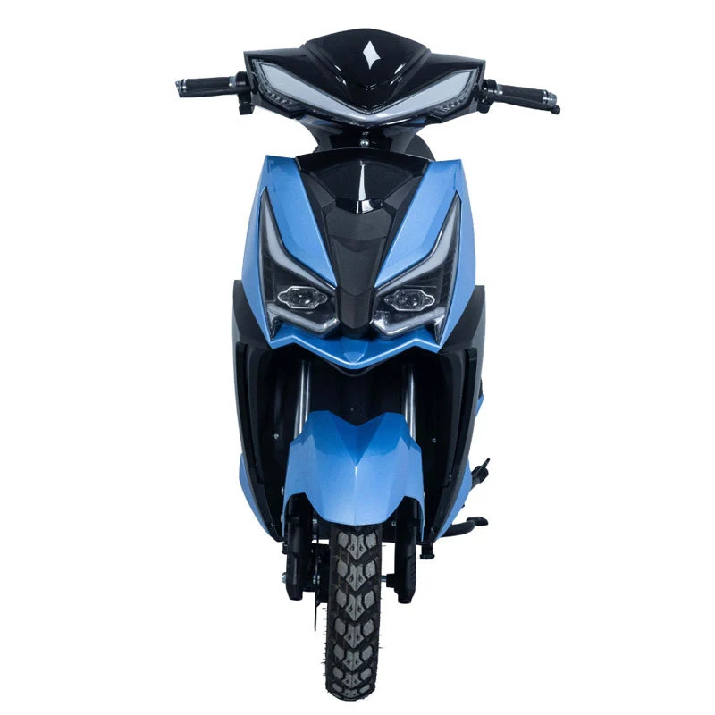 

Paige electric bike e double wheels cargo city bicycle long range motorcycle 2 seat bicicleta electrica high quality ebike