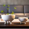 White Ceramic Flower Pot Tripod Fruit Bowl Desktop Storage Container Flower Vase Floral Arrangement Accessories Flowerpot 1
