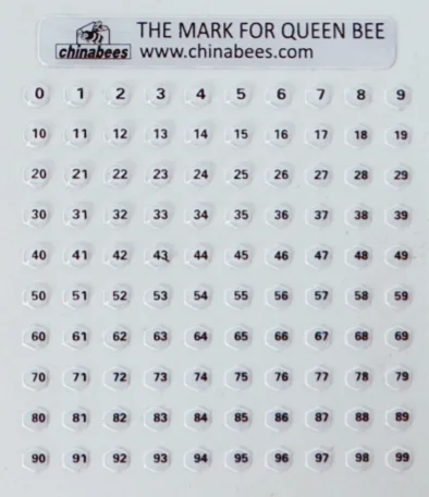 10pcs Beekeeping Bee breeding tool special queen mark number sticker 4