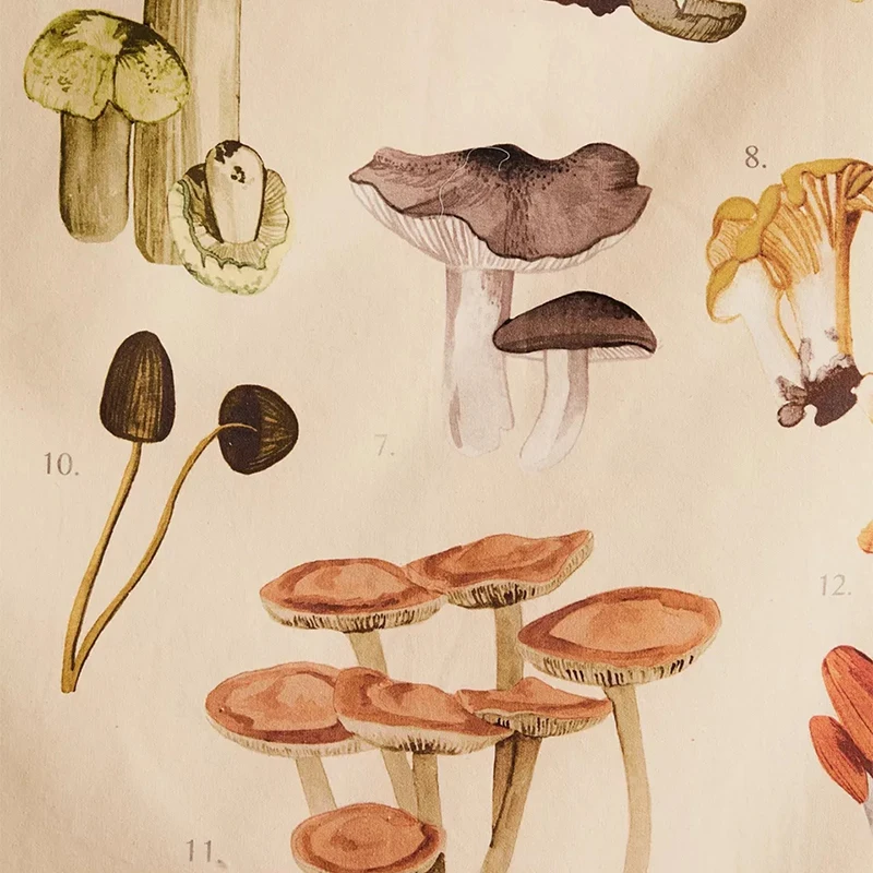 Quotes Mushroom Tapestry Wall Decor Mycology Mushroom Champignon Identification Chart Diagram Illustration Wall Art Boho Decor tapestry decorations