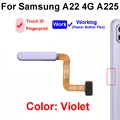 A22 4G-Violet-Genuin