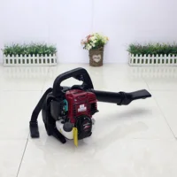 GX35 Engine Leaf Blower/ Four Stroke Backpack Gagoline Snow Blower Portable Garden Tool 1