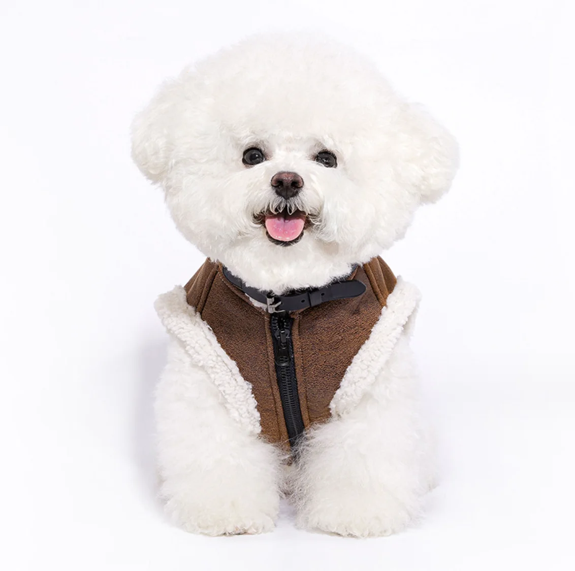 Warm Windproof Monochromatic Dog Coat Cotton Designer Clothes for Large Dogs Puppy Accessories Winter