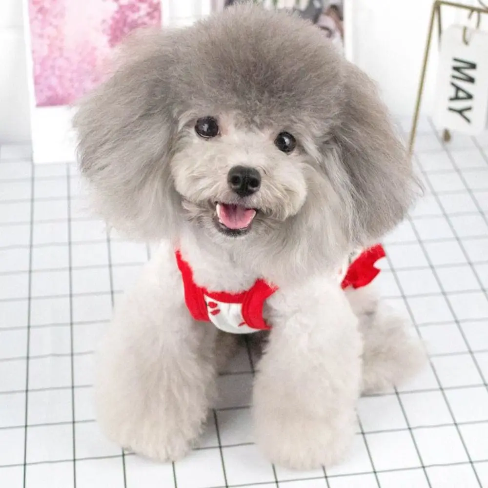 Chaleco para perro pequeño a la moda suave y transpirable_voghion.com