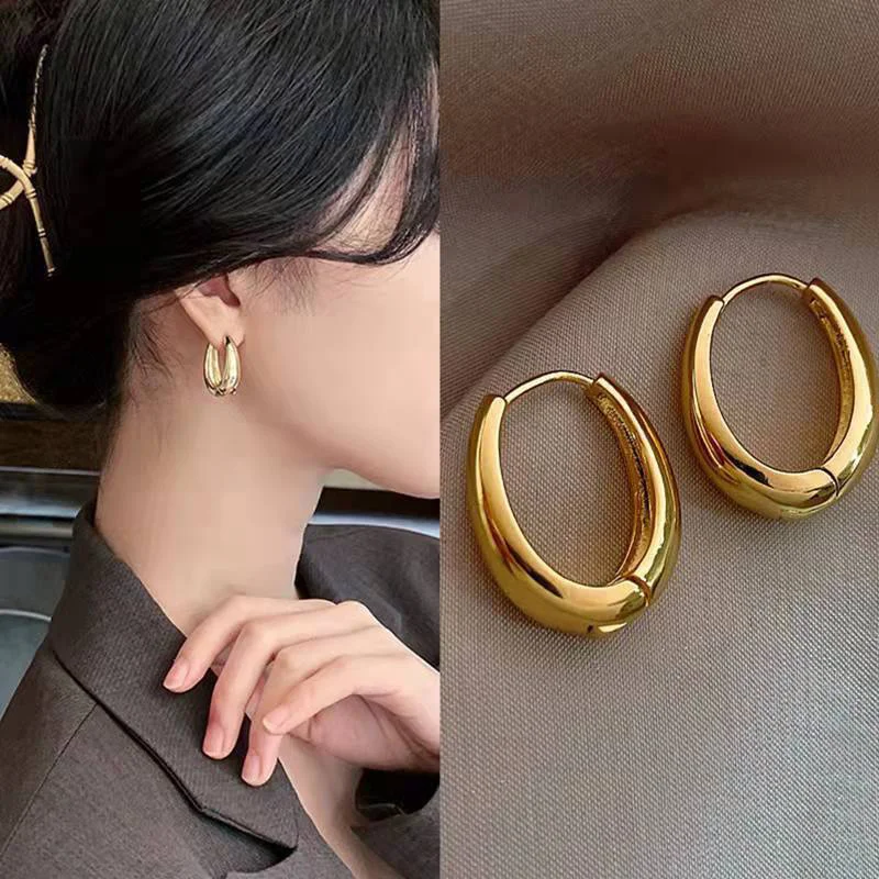 

New Trendy Geometric Metal Hoop Earrings For Womens Fashionable Jewelry Accessories Delicate Earrings For Party