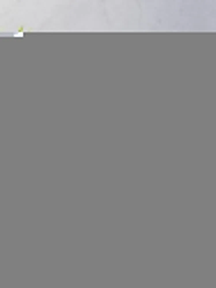 �̷� ������ ���, ���� ���� ��� �Է�