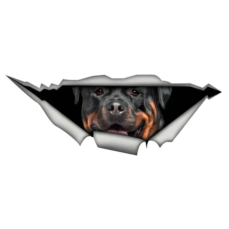 

Sticker for Car Products PVC Stickers on Motorcycle Accessories Sunscreen and Waterproof Decals Stylish, Exterior Parts Sticker