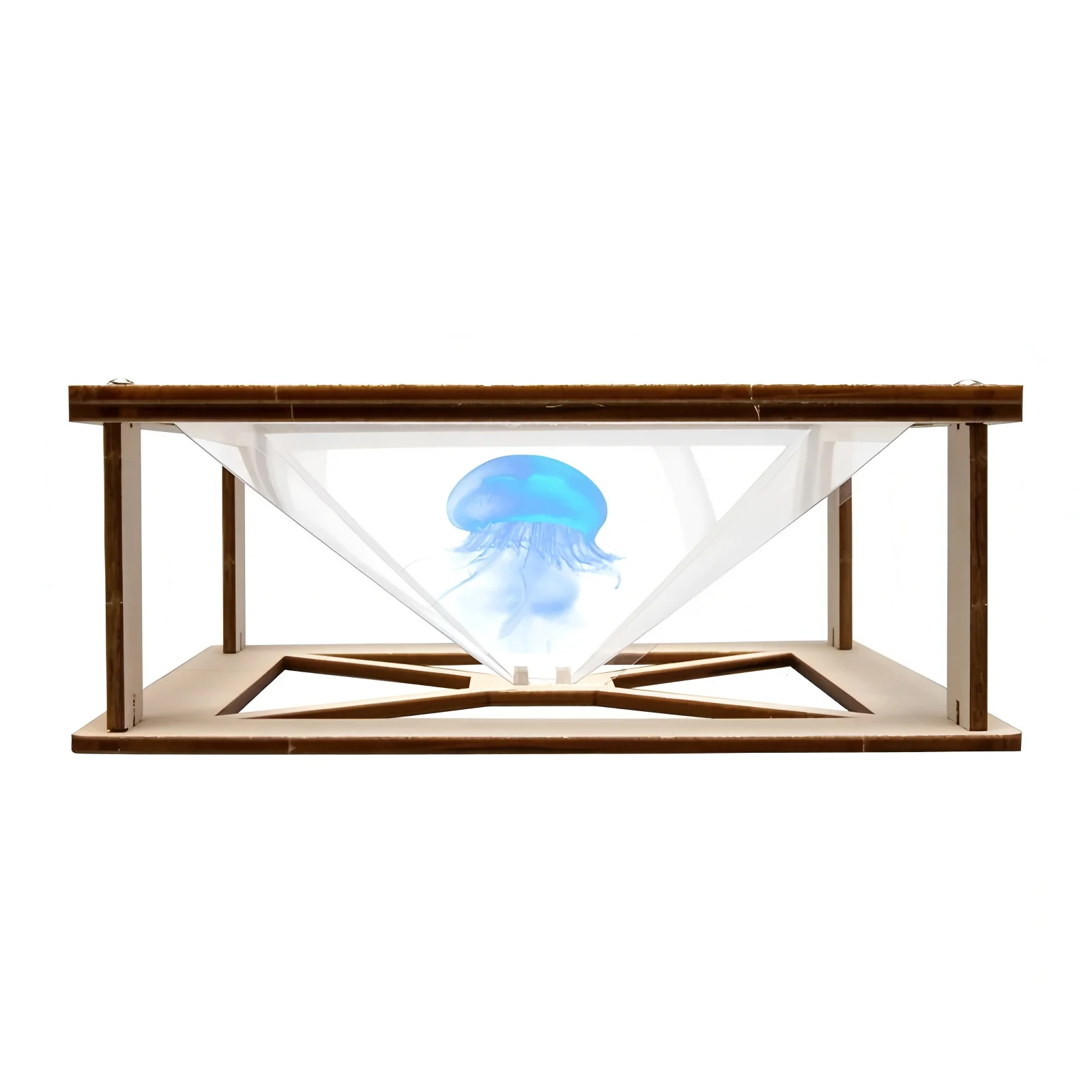 DIY Projection Science Toy 2