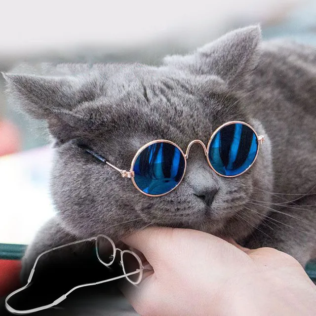 Pet Sunglasses Glasses For Cat Dog Glasses with Antiskid Belt Lovely Kitten Eye-Wear Lenses Cat Accessories Pet Party Decoration Pet Sunglasses Glasses For Cat Dog Glasses with Antiskid Belt Lovely Kitten Eye-Wear Lenses Cat Accessories Pet Party Decoration