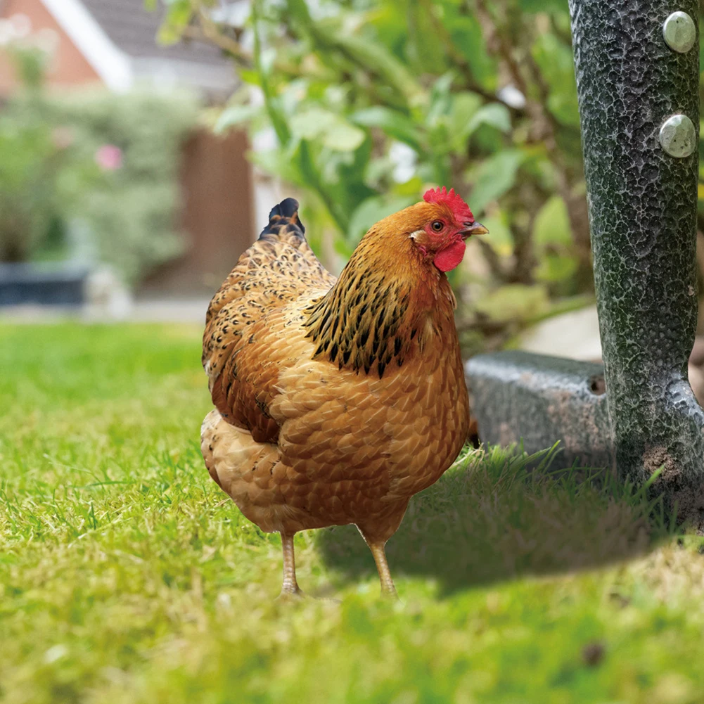 

2 Garden Chicken Statue Card 2D Acrylic Chicken Sculpture For Yard Decor Weatherproof Hen Figurine For Farm Patio Lawn Back Yard
