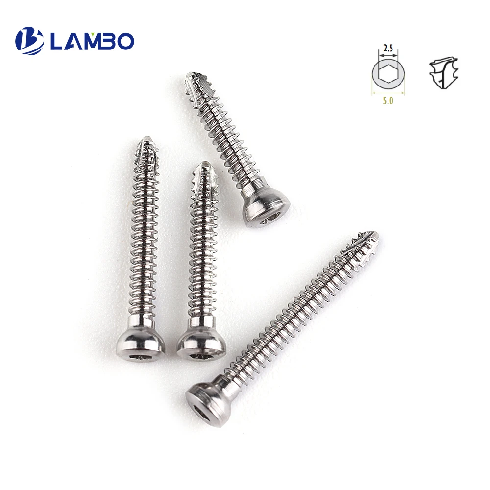 10pcs Vet 2.7mm SS Self-tapping Hexagon Cortical Screws Pet Veterinary Orthopedics Implants Surgical Instruments Pet Products Orthopedic Instruments