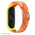 Colorful Orange