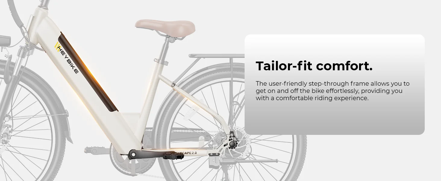 electric bike for adults