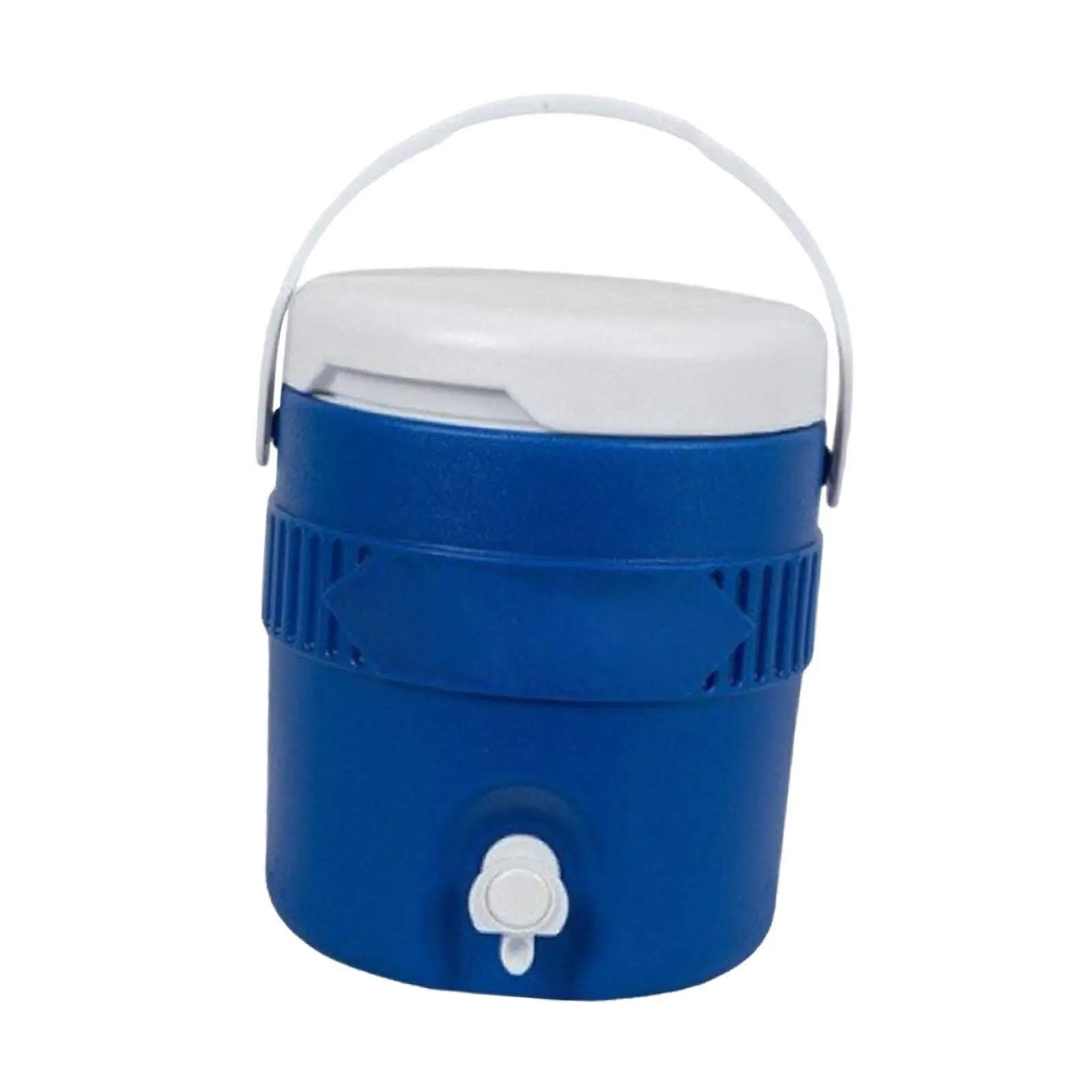 main image of 3.8L Insulated Camping Cooler