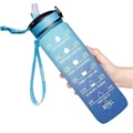 1L grayish blue