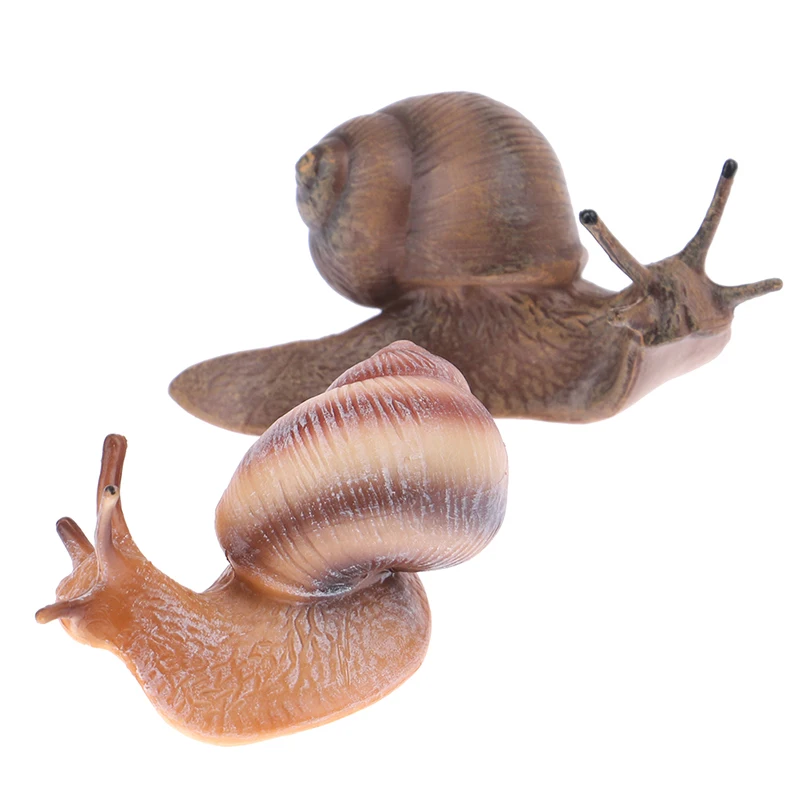 Simulation animal insect model mini animal snail growth cycle ornament 5