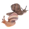 Simulation animal insect model mini animal snail growth cycle ornament 5