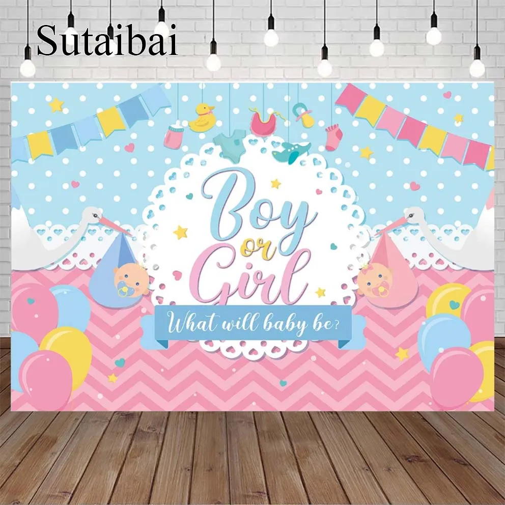 Gender Reveal Theme Boy O Girl Baby Shower Party Photography Background Pink Blue Gender Reveal Baby Shower Party Background