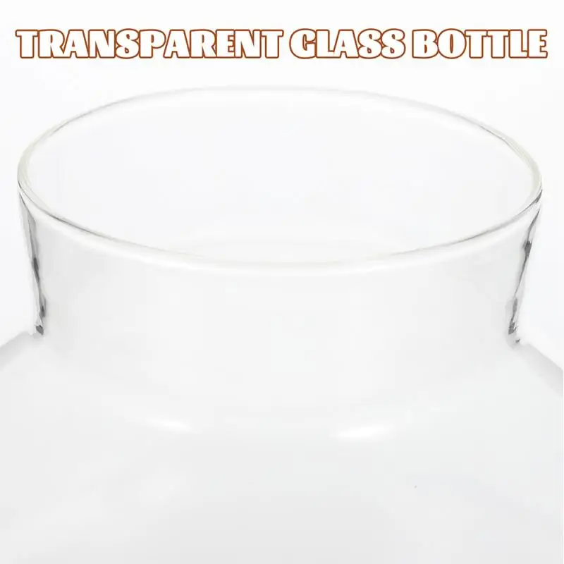 Description Picture 5 of itemDesktop Micro-landscape Bottle Vase Empty DIY Cork Plant Terrarium Decorative Landscaping Container Glass Jar with Lid