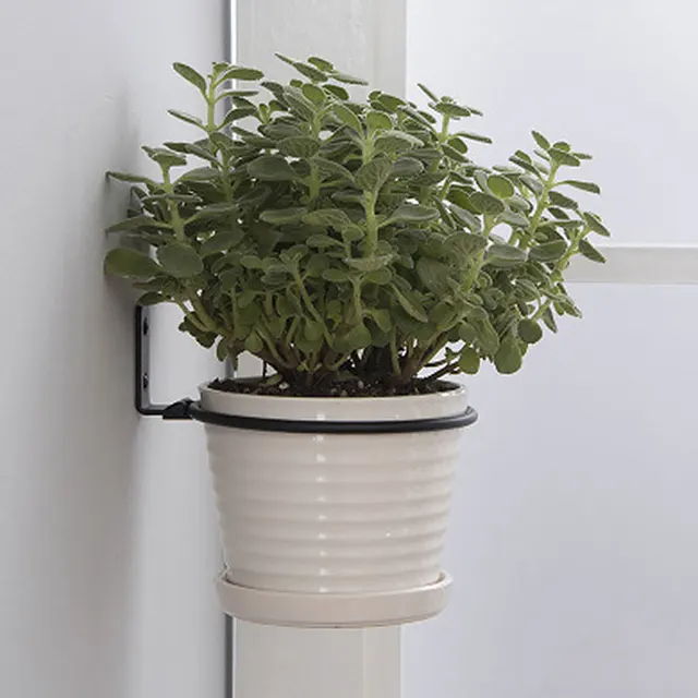 Flower Pot Trays Wall Mounted Pot Ring Holder Metal Planter Hooks Hangers Wall Bracket Plant  storage rack Garden 3