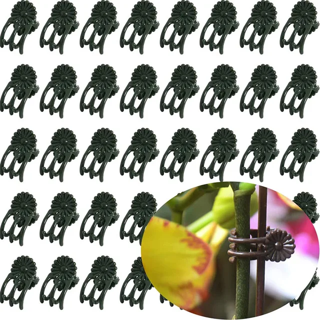 10-100 Perces Műanyag Növényi Tartó Klipek Orchidea Virágok Támaszpontú Mászó Szőlő Szár Kapcsolt Köteg Ágkert Szerszám
