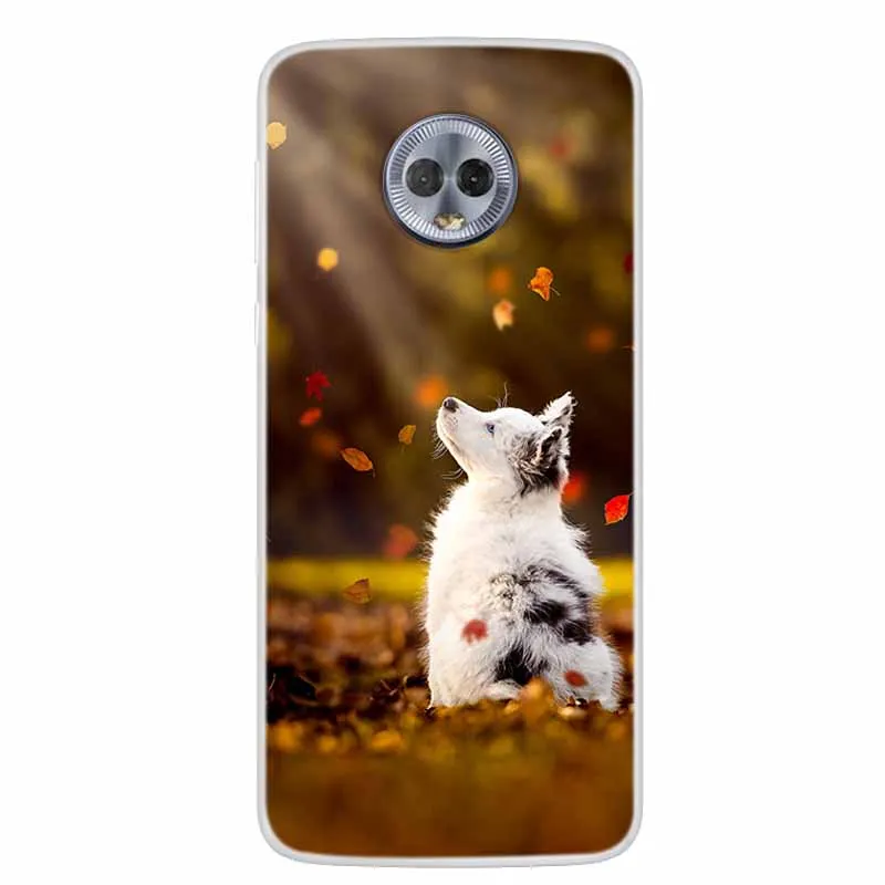 Lovely Cat Soft TPU Silicone Transparent Phone Case | Clear Bumper Cover