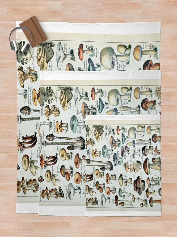 ��Ƽ�� ���� ������ ������ ���, ������ ��� �� ħ�� Ŀ�� ���, ����Ʈ ����