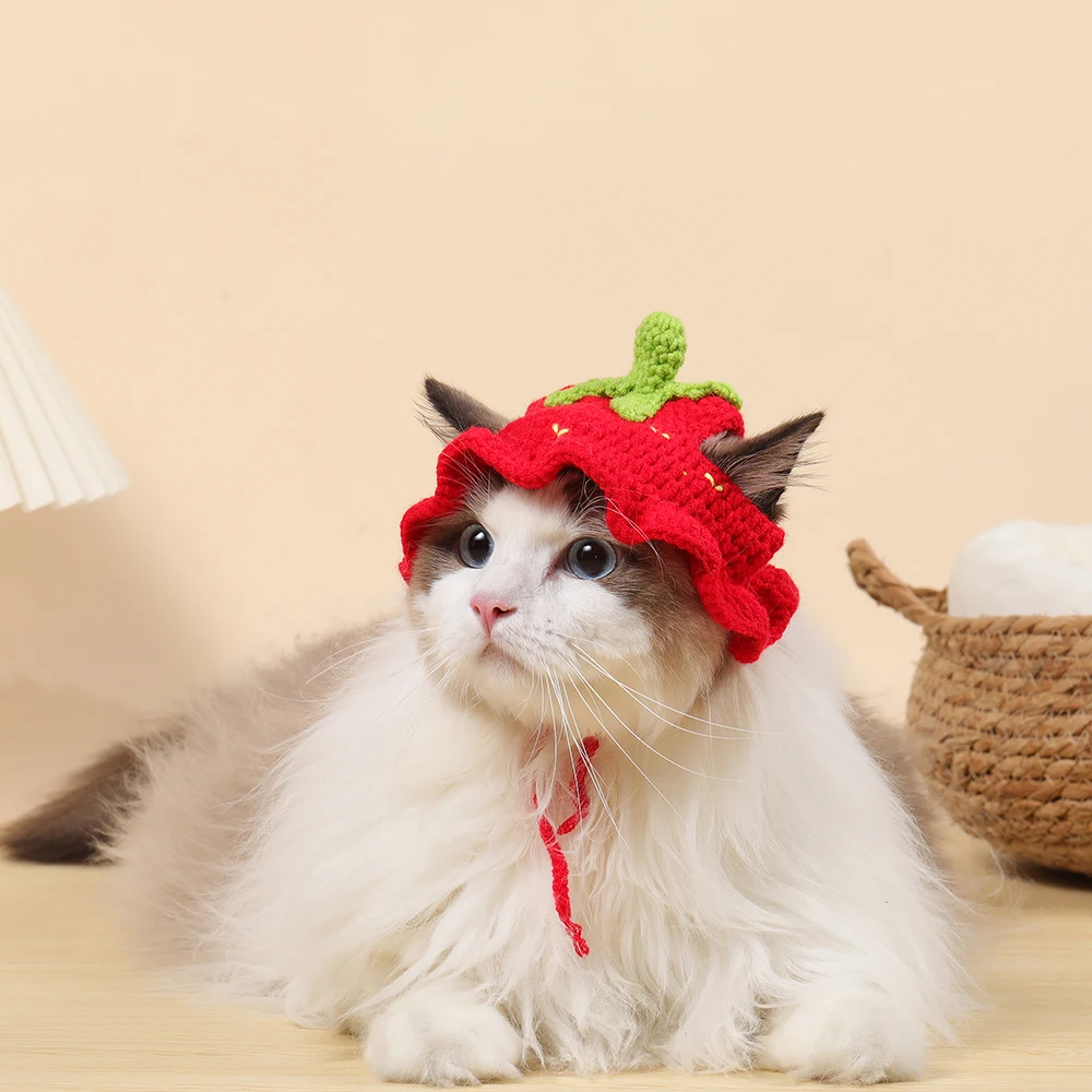 Pet Hat Cat Puppy Kittens Knitted Party Photo Shoot Props Decoration Autumn Winter