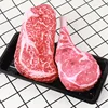 Simulated Steak Chew Toy Bite Resistant Squeaky Dog Cat Pets Products Honden Speelgoed Hot Sale 1