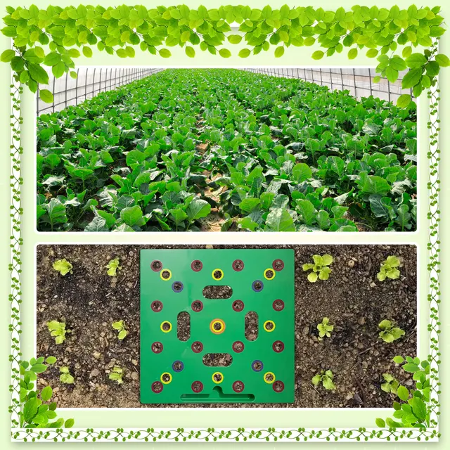 Mag Távolság Sablon Palánta Távtartó Szerszám - Image 4