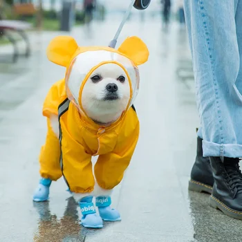 Cute Bear Dog Raincoat 2
