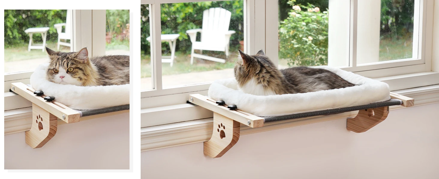 cat windowsill perch