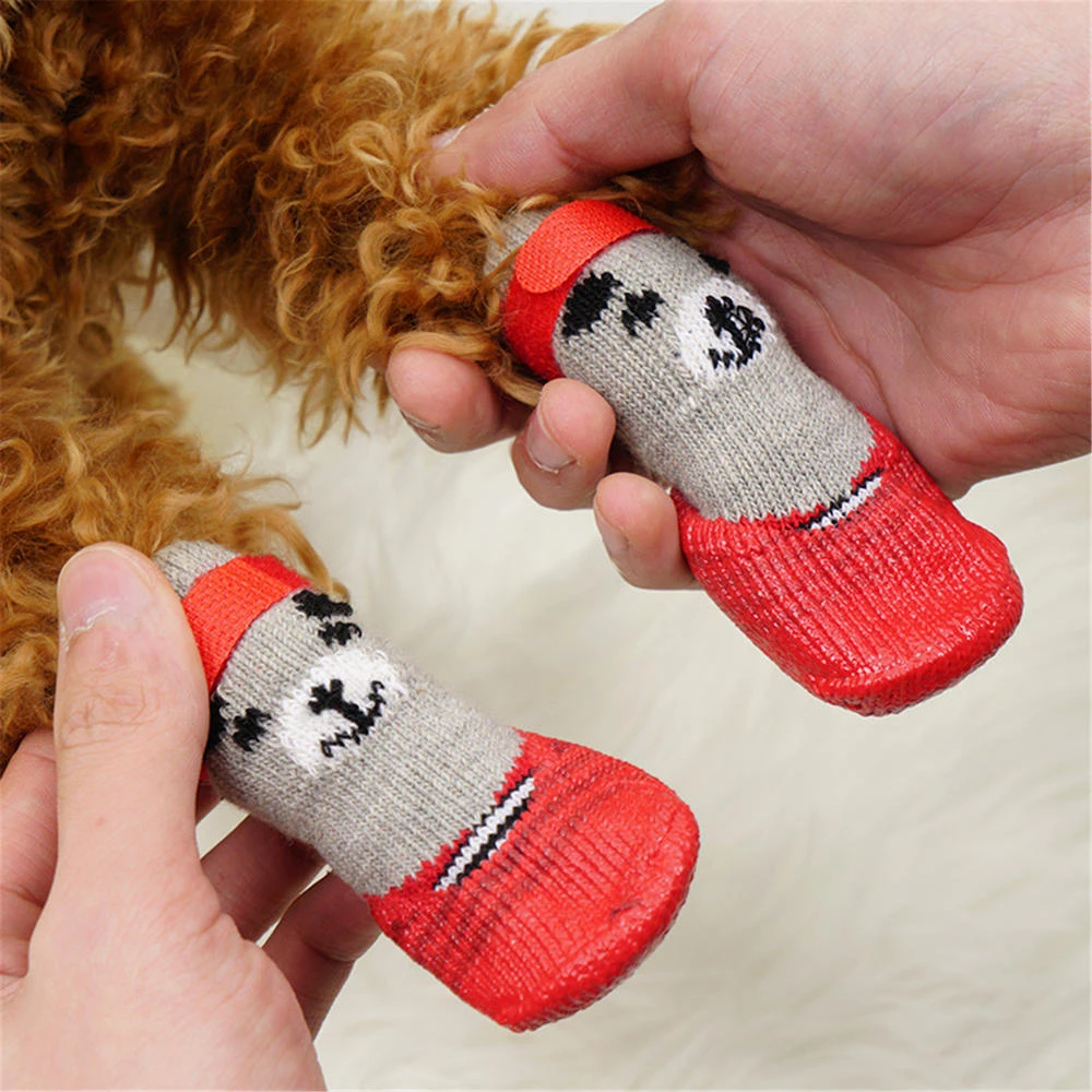 How To Keep A Dog From Scratching Sock