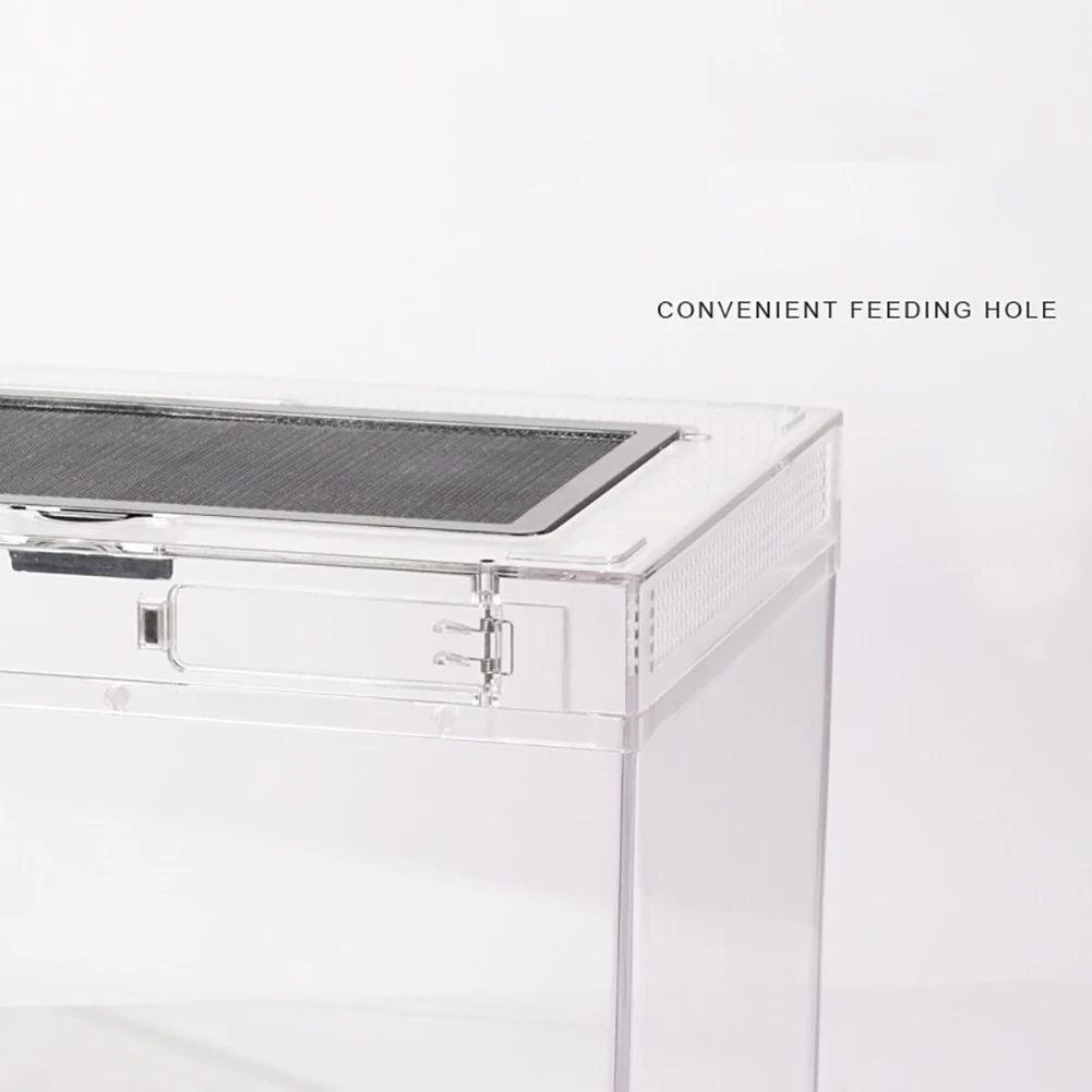 Title 4, Reptile Feeding Box Transparent Acrylic Reptile...