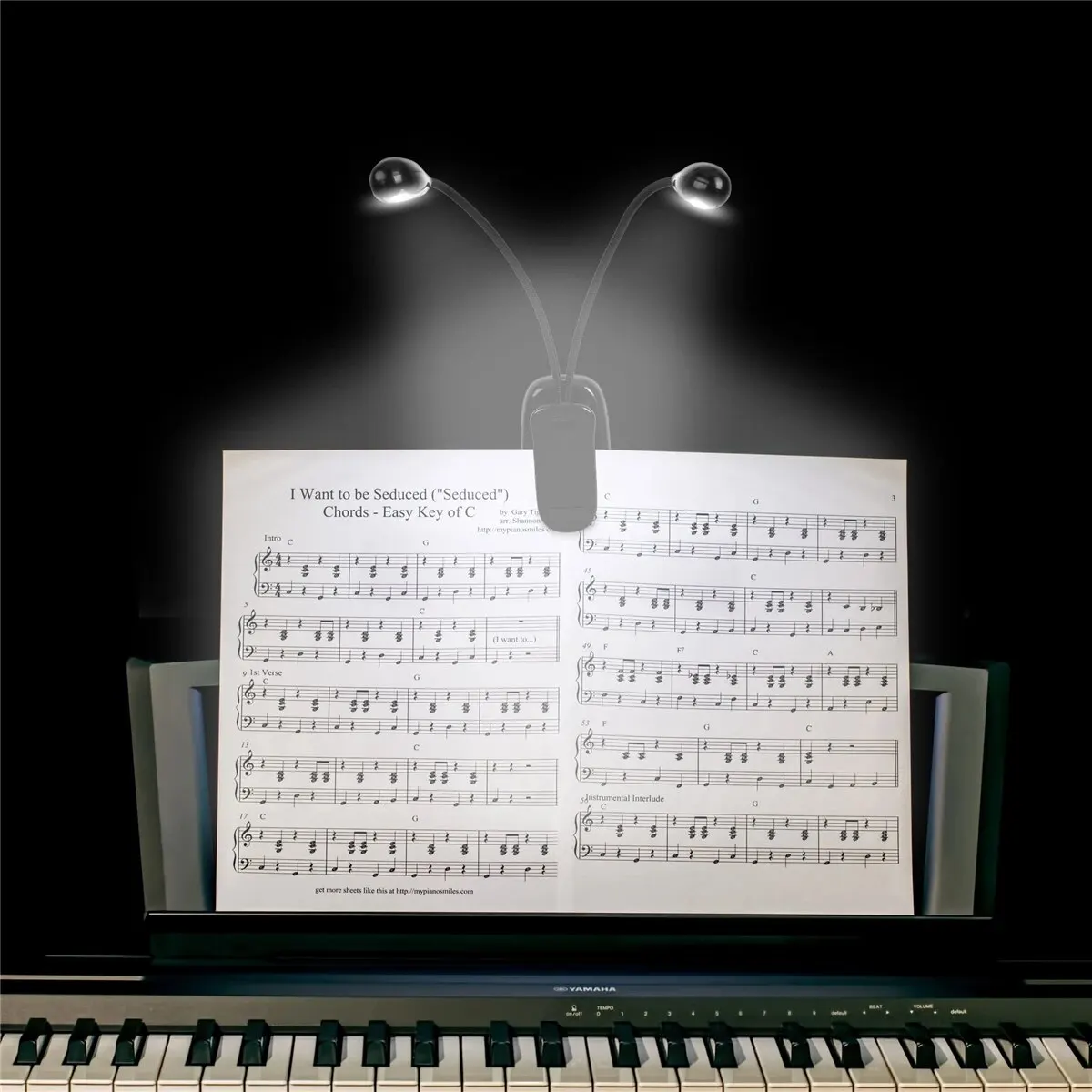6 Pack Music Stand Lights - USB & Battery Powered LED Clip On Reading Lights With 3 Brightness Levels