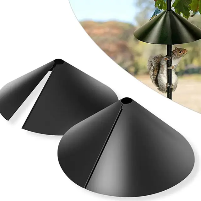 Megakadályozzák Az Élelmiszer Lopását A Szünetellenes Madárfelügyeletes Házvédelemben Mókusbiztos Terelőlapok Gazdaság Számára - Image 2