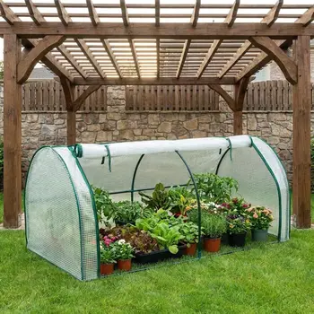 Mini Transparent Plant Greenhouse Cover 1