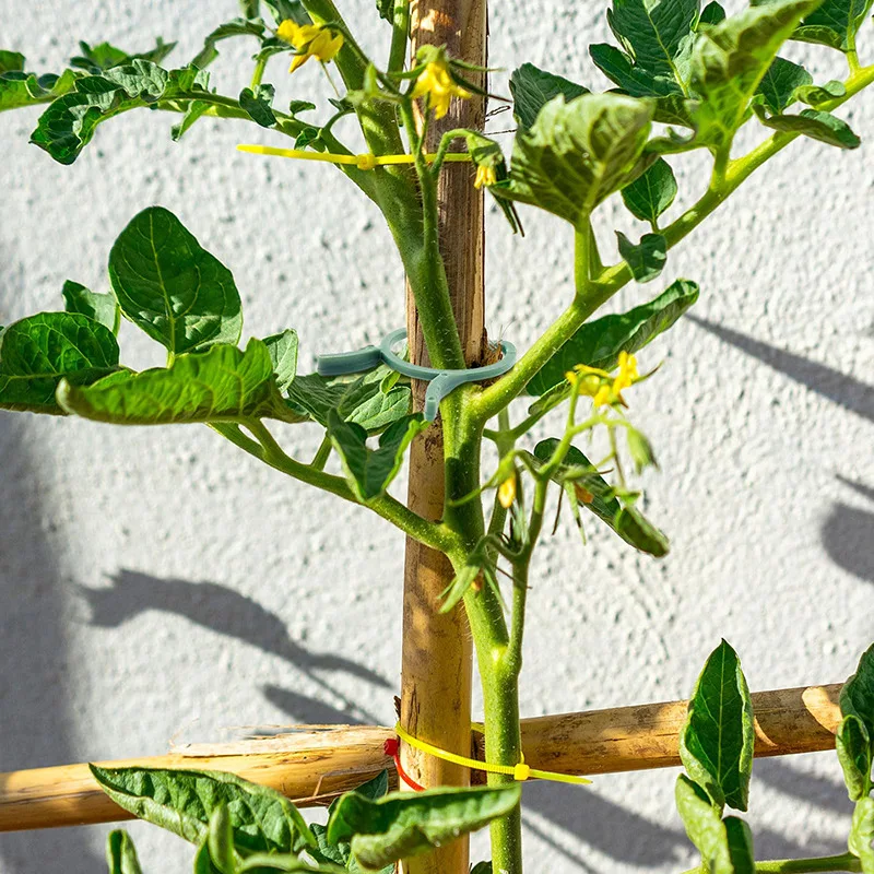 100/200pcs Garden Plant Clips for Vegetable Growing Vertical Plant Holder Green Plastic Ring Bundle Garden Holder Vine