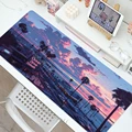 LY001025 (30)