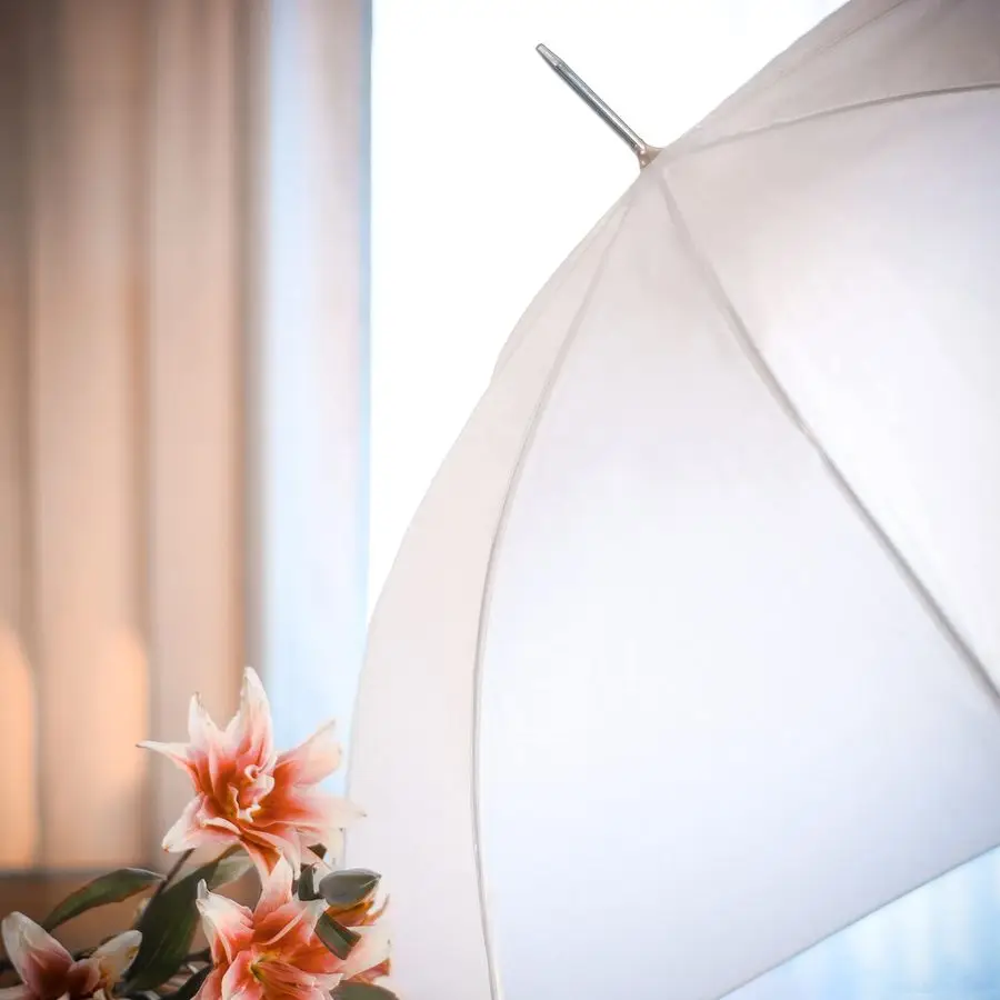 Umbrella image 5