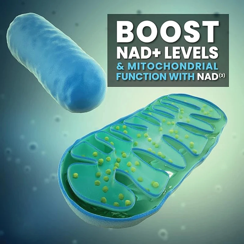 NAD+ Supplement Capsules 900mg Liposomal Nicotinamide Riboside with Resveratrol & Quercetin for Anti-Aging Energy