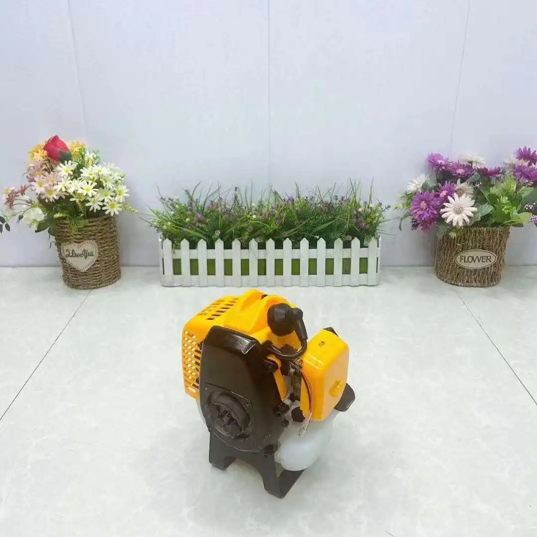 1E34F GASOLINE ENGINE 2 STROKE PETROL MOTOR HEDGE TRIMMER EARTH DRILL AUGER HIGH BRANCH SAW ARGRICULTURE GARDEN POWER TOOLS 4
