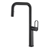 ก๊อกน้ำอ่างล้างจานแบบดึงออกได้ 360 องศา °   ก๊อกน้ำผสมร้อน/เย็นแบบติดตั้งบนฝักบัว พร้อมหัวฉีดแบบหมุนปรับได้ ดีไซน์หรูหรา สีดำ/โครเมียม 6